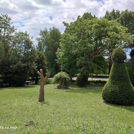 Fil'ochateau Saint-martin * Carcassonne